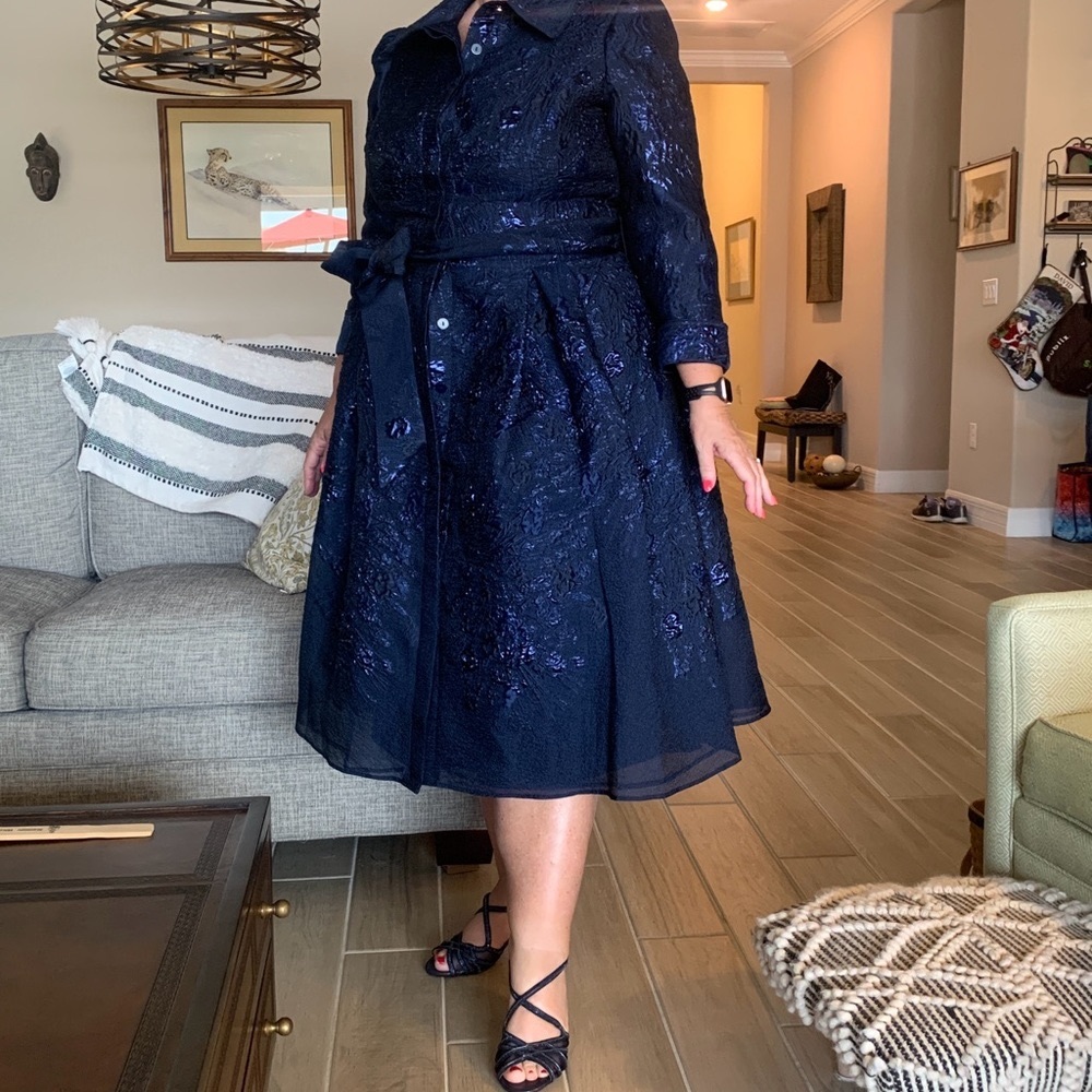 Mother of the bride dress.  Teri Jon by Rickie Freeman navy dress size 16.